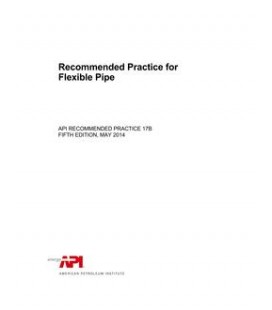 API RP 17B