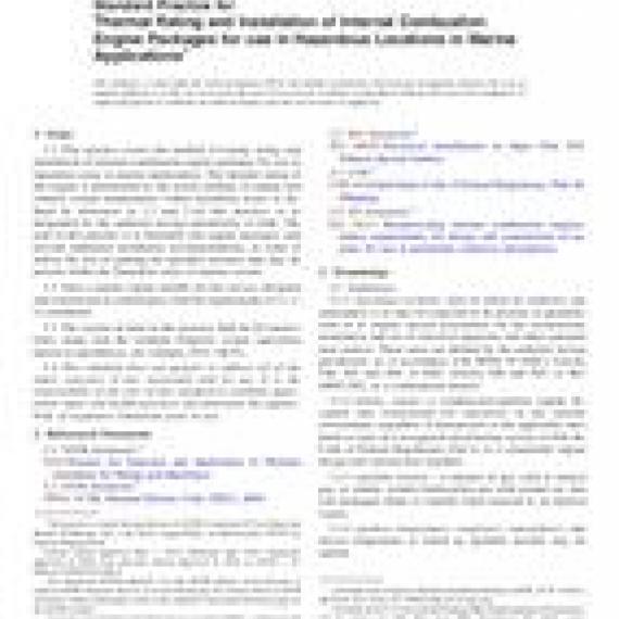 ASTM F2876-10(2015)