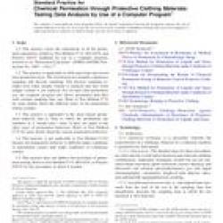 ASTM F2815-10(2014)
