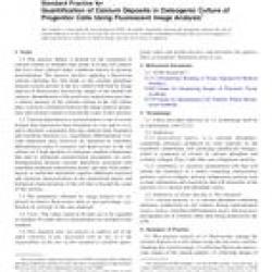 ASTM F2997-13