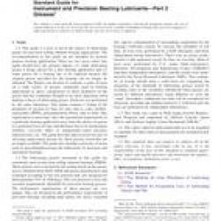 ASTM F2489-06(2013)