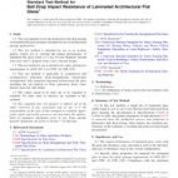 ASTM F3007-13