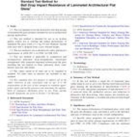 ASTM F3007-13
