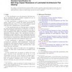 ASTM F3006-13