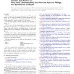 ASTM F2817-13