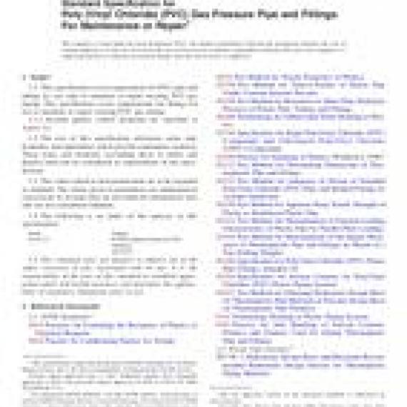 ASTM F2817-13