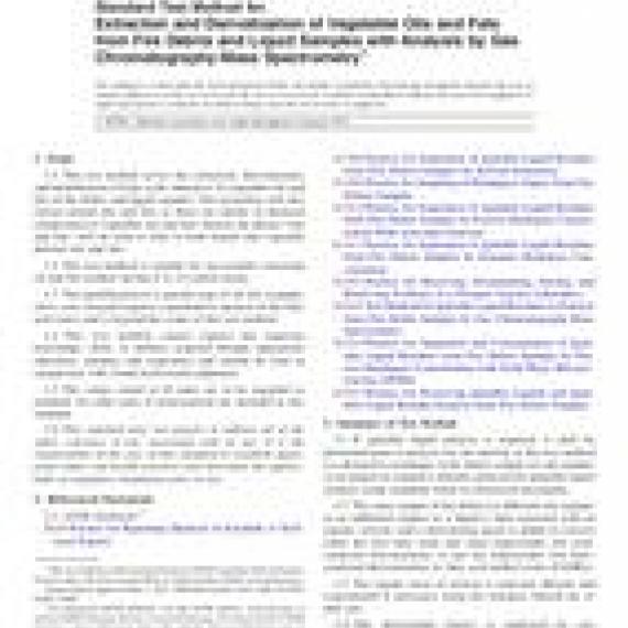 ASTM E2881-13e1