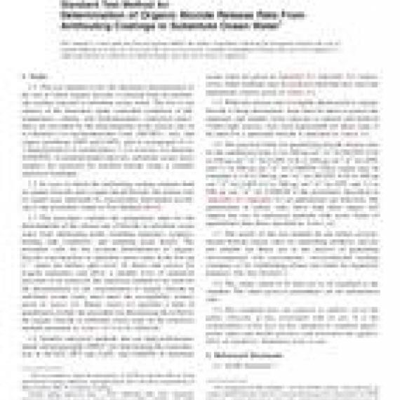 ASTM D6903-07(2013)