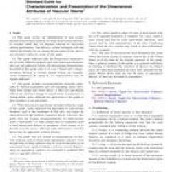 ASTM F2081-06(2013)
