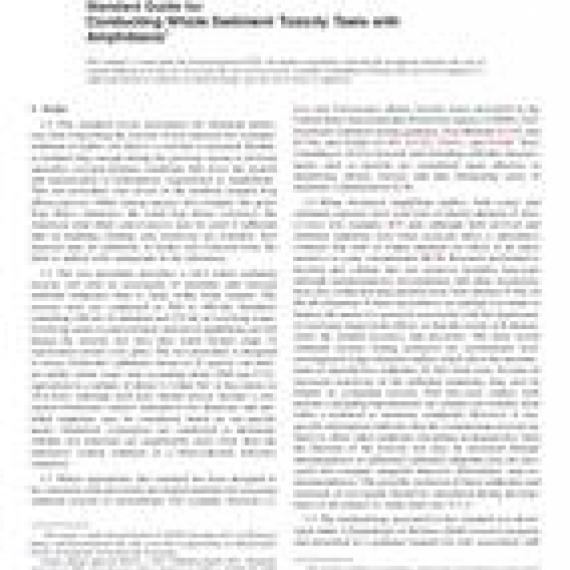 ASTM E2591-07(2013)