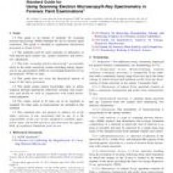 ASTM E2809-13