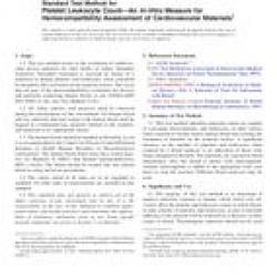 ASTM F2888-13