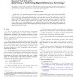 ASTM E2466-13