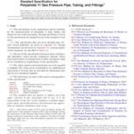 ASTM F2945-12a
