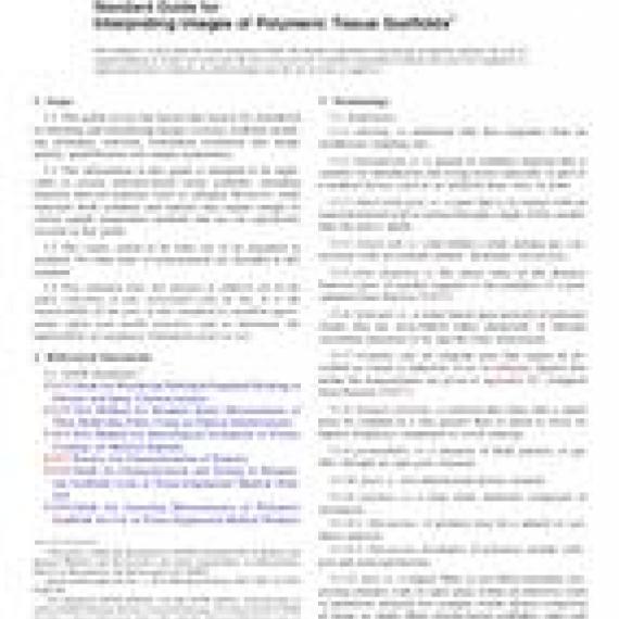 ASTM F2603-06(2012)