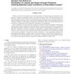 ASTM F1383-12