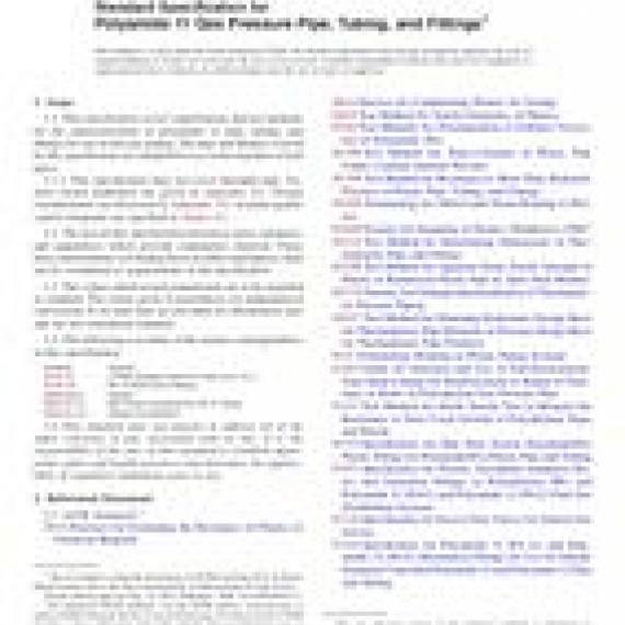 ASTM F2945-12