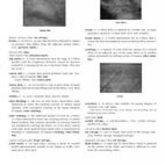 ASTM D3990-12e1