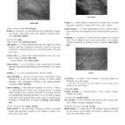 ASTM D3990-12e1