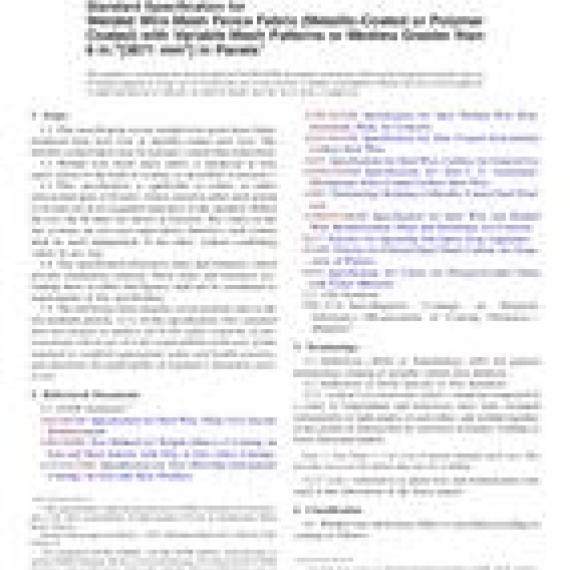 ASTM F2919/F2919M-12