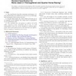 ASTM F2842-11