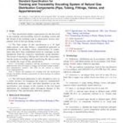 ASTM F2897-11ae1