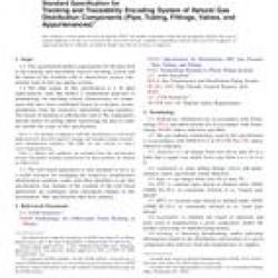 ASTM F2897-11a