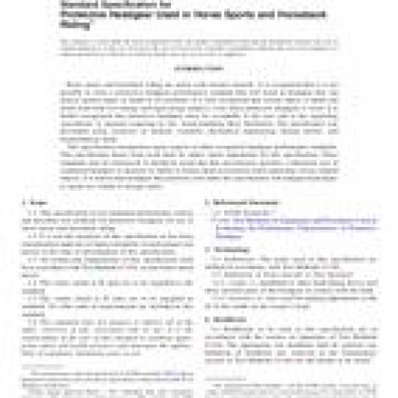 ASTM F1163-04a(2011)