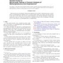 ASTM E1969-11