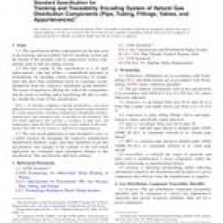 ASTM F2897-11