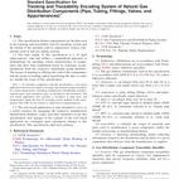 ASTM F2897-11