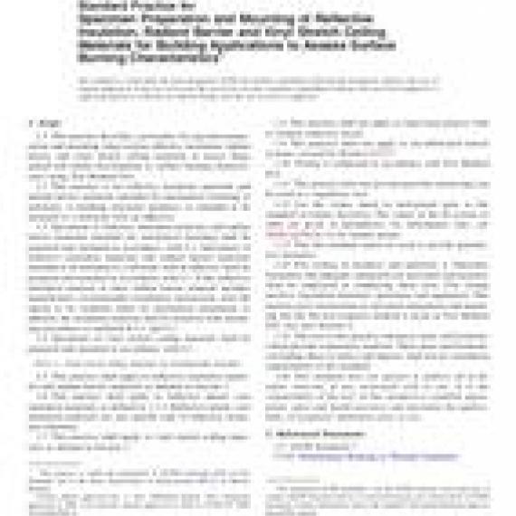 ASTM E2599-11