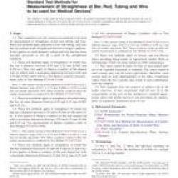 ASTM F2819-10