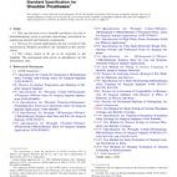 ASTM F1378-05(2010)