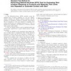 ASTM F2808-10