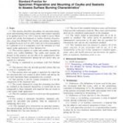 ASTM E2690-10e2