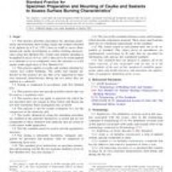 ASTM E2690-10e1