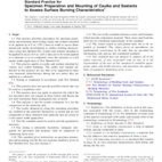 ASTM E2690-10e1