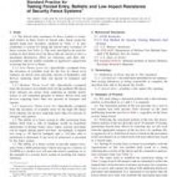 ASTM F2781-10