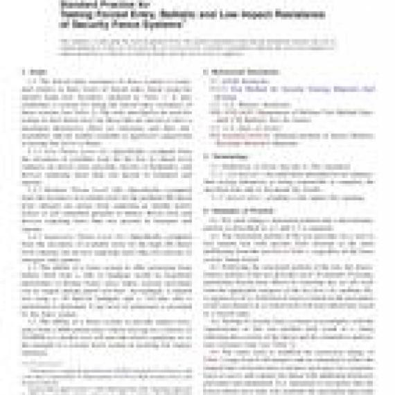 ASTM F2781-10
