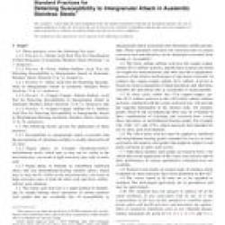 ASTM A262-10