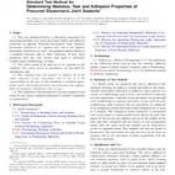 ASTM C1523-10
