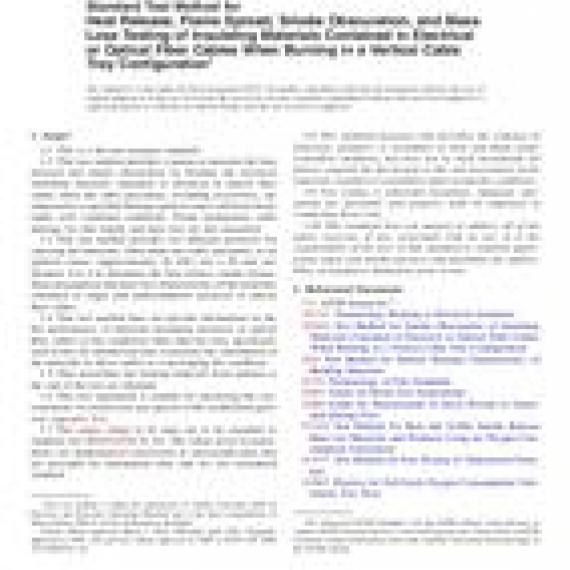 ASTM D5537-10