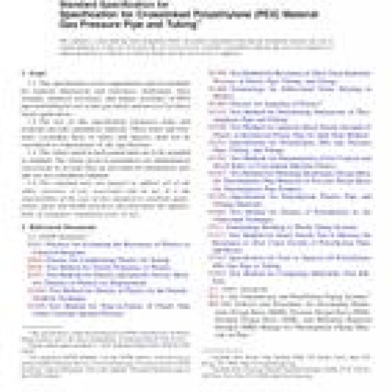 ASTM F2818-10