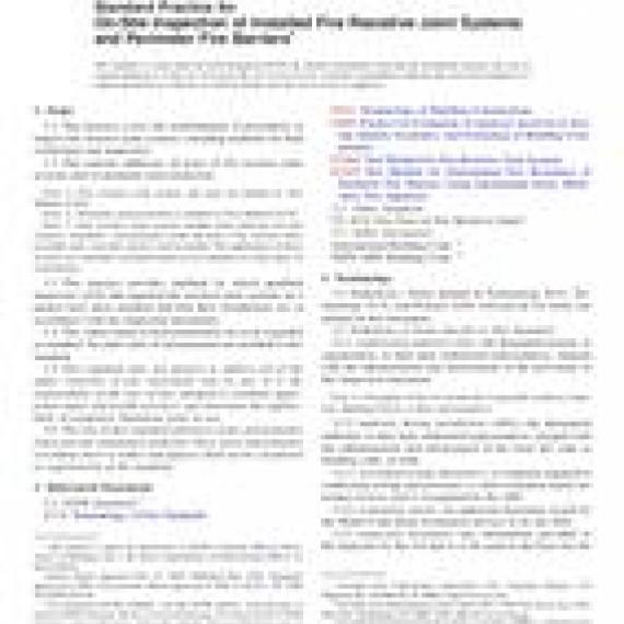 ASTM E2393-10