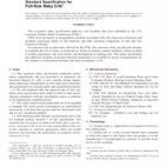 ASTM F1169-09