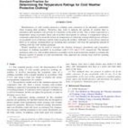 ASTM F2732-09