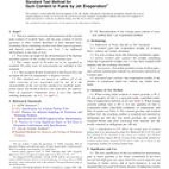 ASTM D381-09