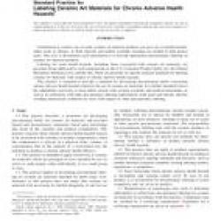 ASTM C1023-09