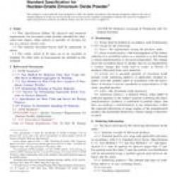 ASTM C1065-08